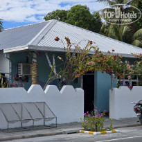 фото из отзыва ID 2666945