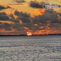 фото из отзыва ID 2666945