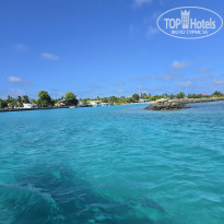 фото из отзыва ID 2666945