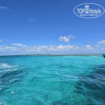 фото из отзыва ID 2666945