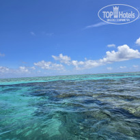 фото из отзыва ID 2666945