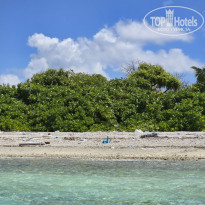 фото из отзыва ID 2666945