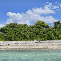 фото из отзыва ID 2666945