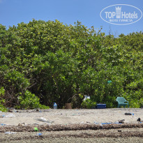 фото из отзыва ID 2666945