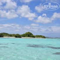 фото из отзыва ID 2666945