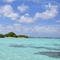 фото из отзыва ID 2666945