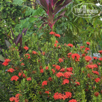 фото из отзыва ID 2666945