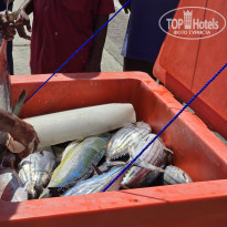 фото из отзыва ID 2666945