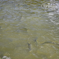 фото из отзыва ID 2666945