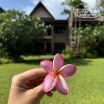 фото из отзыва ID 2666457