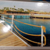 фото из отзыва ID 2665738