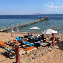 фото из отзыва ID 2667204