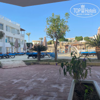 фото из отзыва ID 2667204