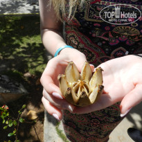 фото из отзыва ID 2666215