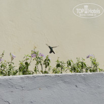 фото из отзыва ID 2666215