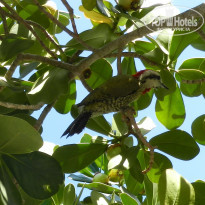 фото из отзыва ID 2666215