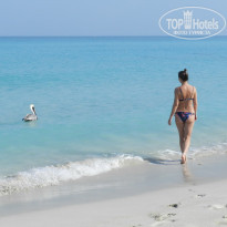 фото из отзыва ID 2666215