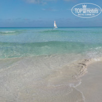 фото из отзыва ID 2666215