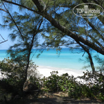 фото из отзыва ID 2666215