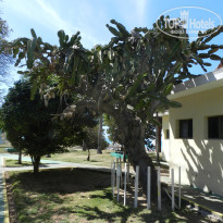 фото из отзыва ID 2666215