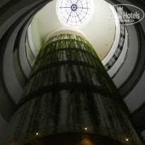 фото из отзыва ID 2666215