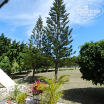 фото из отзыва ID 2666215