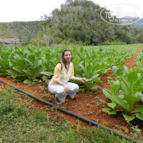 фото из отзыва ID 2666215