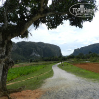 фото из отзыва ID 2666215