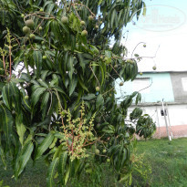 фото из отзыва ID 2666215