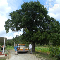 фото из отзыва ID 2666215