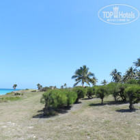 фото из отзыва ID 2666215