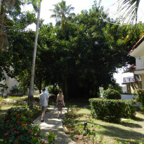 фото из отзыва ID 2666215