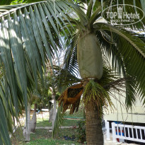 фото из отзыва ID 2666215