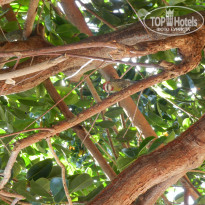 фото из отзыва ID 2666215