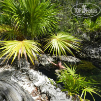 фото из отзыва ID 2666215