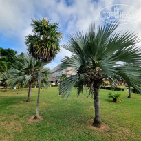 фото из отзыва ID 2667270