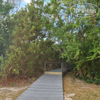 фото из отзыва ID 2667270