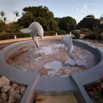 фото из отзыва ID 2667270