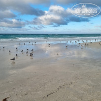 фото из отзыва ID 2667270