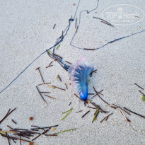 фото из отзыва ID 2667270