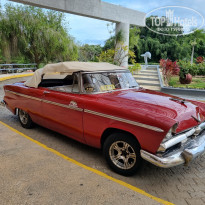 фото из отзыва ID 2667270