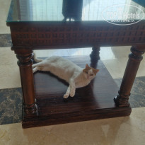 фото из отзыва ID 2667292