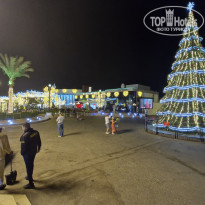 фото из отзыва ID 2667292