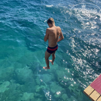 фото из отзыва ID 2667304