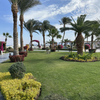 фото из отзыва ID 2667320