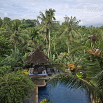 фото из отзыва ID 2667352