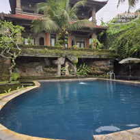 фото из отзыва ID 2667352