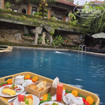 фото из отзыва ID 2667352