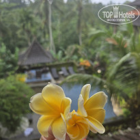 фото из отзыва ID 2667352