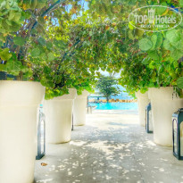 фото из отзыва ID 2667361